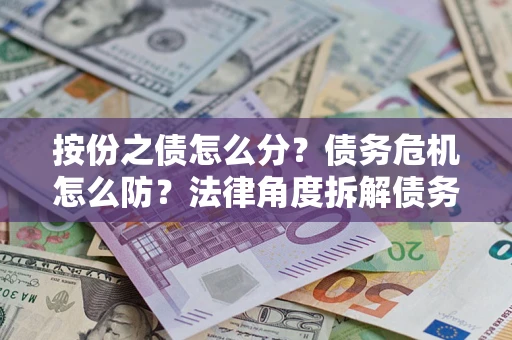 武汉按份之债怎么分？债务危机怎么防？法律角度拆解债务分配与风险自保指南