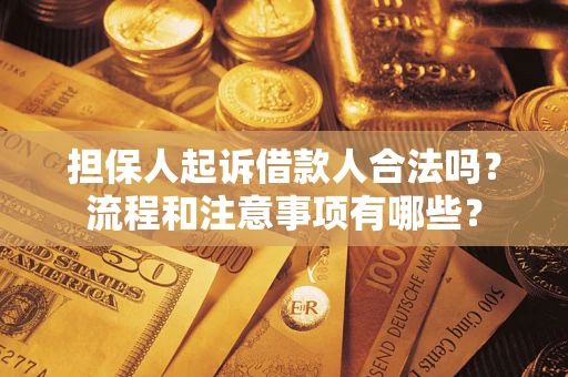 武汉担保人起诉借款人合法吗？流程和注意事项有哪些？