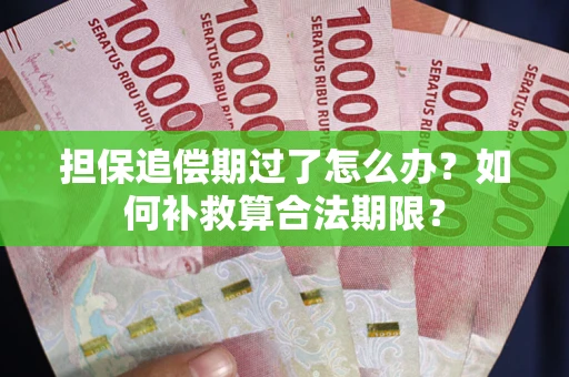 武汉担保追偿期过了怎么办？如何补救算合法期限？