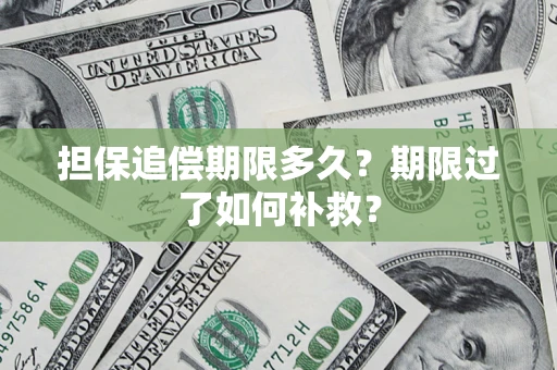 武汉担保追偿期限多久？期限过了如何补救？
