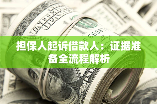 武汉担保人起诉借款人：证据准备全流程解析