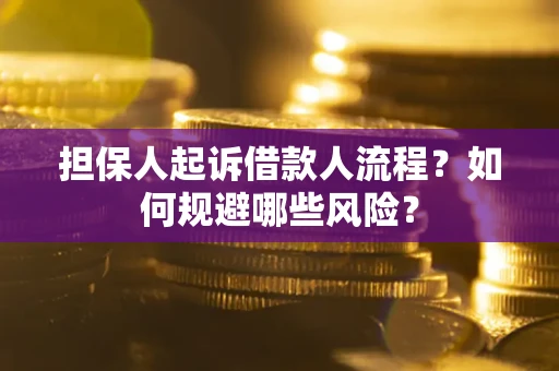 武汉担保人起诉借款人流程？如何规避哪些风险？