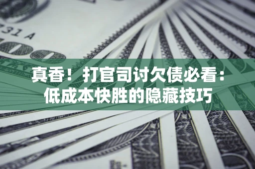 武汉真香！打官司讨欠债必看：低成本快胜的隐藏技巧