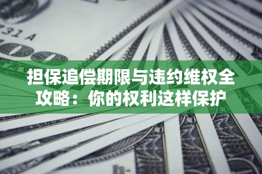 武汉担保追偿期限与违约维权全攻略：你的权利这样保护