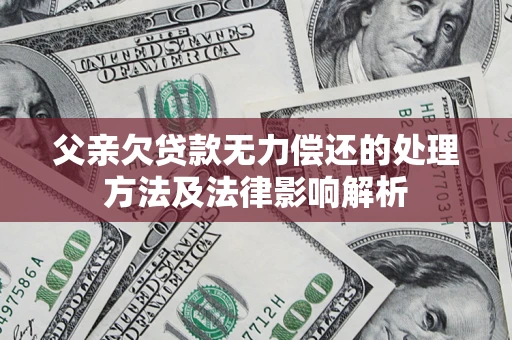 武汉父亲欠贷款无力偿还的处理方法及法律影响解析