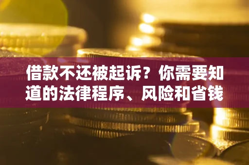 武汉借款不还被起诉？你需要知道的法律程序、风险和省钱技巧
