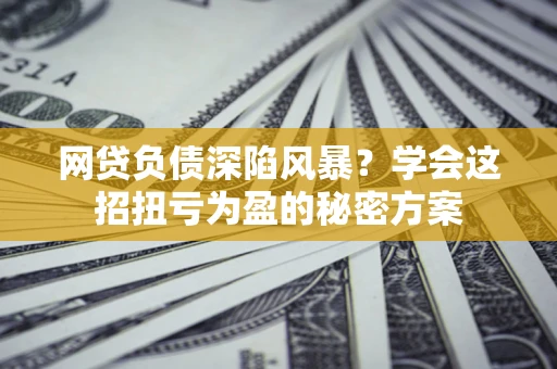 武汉网贷负债深陷风暴？学会这招扭亏为盈的秘密方案