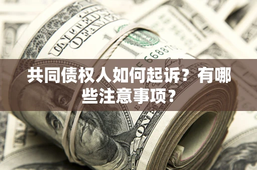 武汉共同债权人如何起诉？有哪些注意事项？